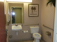 hampton-inn-brooks-ky-029