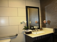 hampton-inn-pell-city-al-016