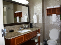 hampton-inn-pell-city-al-020