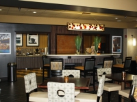hampton-inn-pell-city-al-031